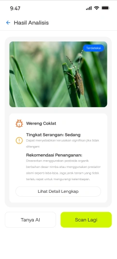 Solution Workflow